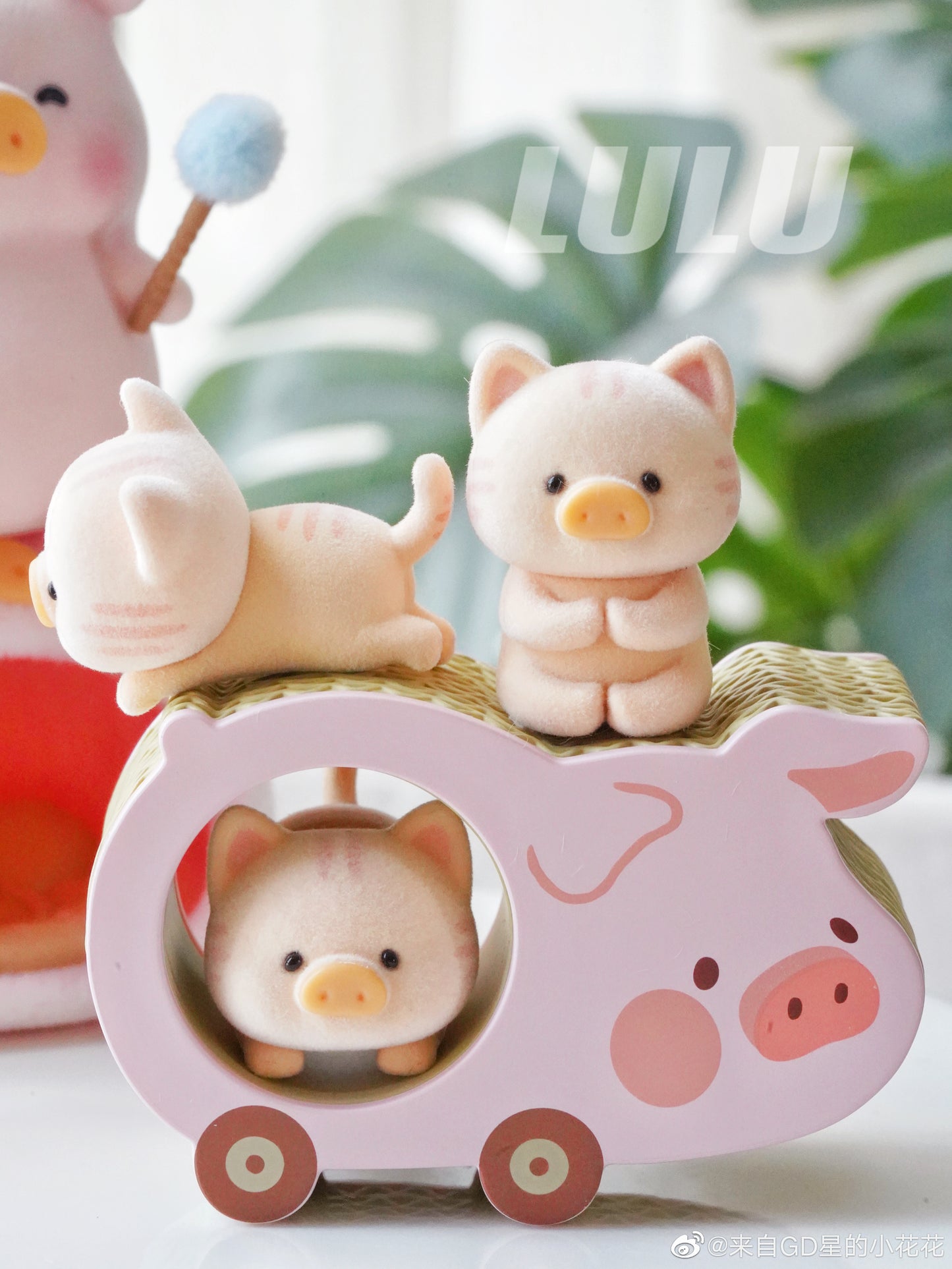 Lulu The Piggy Caturday Series Cute Pig Blind Box Figures Collectible Toys Birthday Gift